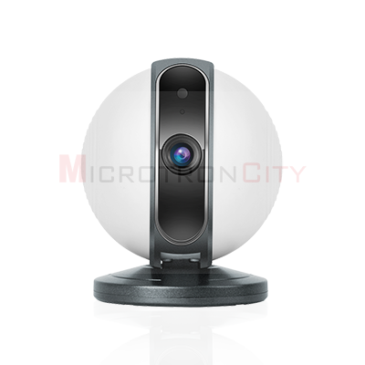 Pan-Tilt Smart IP camera